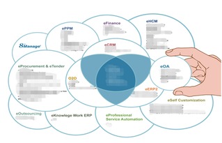 笨拙的SaaS 企业管理软件进军云服务遇绊脚石